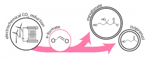Graphical abstract